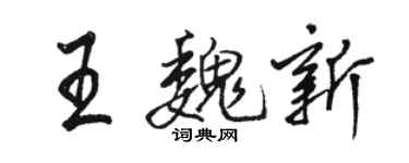 駱恆光王魏新行書個性簽名怎么寫