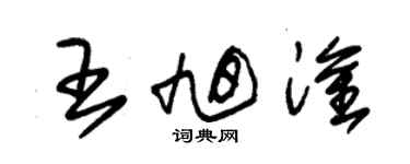 朱錫榮王旭淦草書個性簽名怎么寫