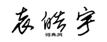 朱錫榮袁皓宇草書個性簽名怎么寫