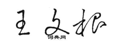 駱恆光王文根草書個性簽名怎么寫