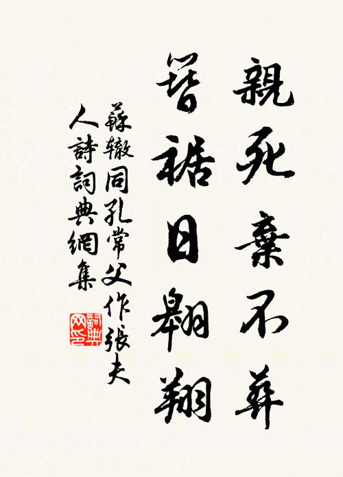 雲隨綠水歌聲轉,雪繞紅綃舞袖垂 詩詞名句