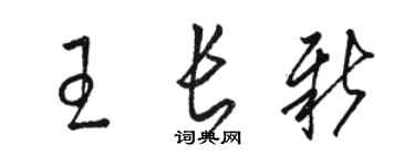 駱恆光王長新草書個性簽名怎么寫