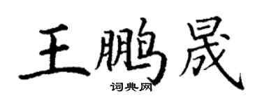 丁謙王鵬晟楷書個性簽名怎么寫
