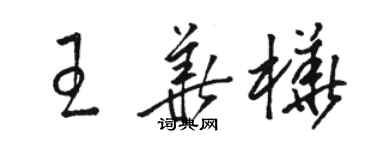 駱恆光王華樺草書個性簽名怎么寫