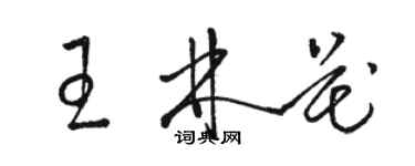 駱恆光王林花草書個性簽名怎么寫