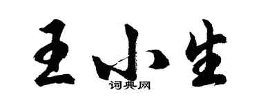 胡問遂王小生行書個性簽名怎么寫