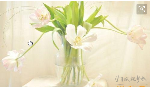 胲組詞_胲的拼音含義_組詞造句解釋_胲字的組詞