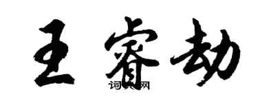 胡問遂王睿劫行書個性簽名怎么寫