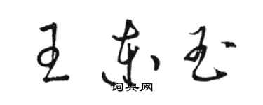 駱恆光王東玉草書個性簽名怎么寫