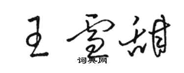 駱恆光王雪甜草書個性簽名怎么寫