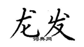 丁謙龍發楷書個性簽名怎么寫