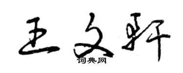 曾慶福王文軒草書個性簽名怎么寫