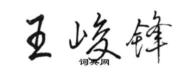 駱恆光王峻鋒行書個性簽名怎么寫