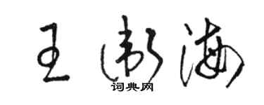 駱恆光王衛海草書個性簽名怎么寫