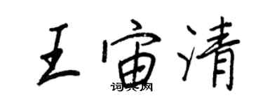 王正良王宙清行書個性簽名怎么寫