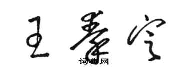 駱恆光王秦定草書個性簽名怎么寫