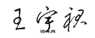 駱恆光王宇裙草書個性簽名怎么寫