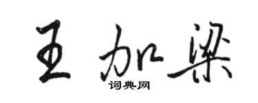 駱恆光王加梁行書個性簽名怎么寫