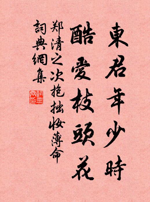 逆知梅意同我意,詩人合作如是觀 詩詞名句