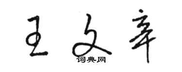 駱恆光王文辛草書個性簽名怎么寫