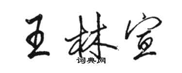 駱恆光王林宣行書個性簽名怎么寫