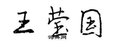 曾慶福王瑩國行書個性簽名怎么寫