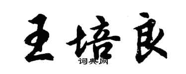 胡問遂王培良行書個性簽名怎么寫