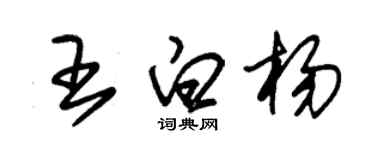 朱錫榮王白楊草書個性簽名怎么寫