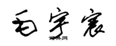 朱錫榮毛宇宸草書個性簽名怎么寫