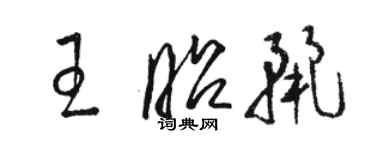 駱恆光王昭麗草書個性簽名怎么寫