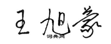 駱恆光王旭蒙草書個性簽名怎么寫