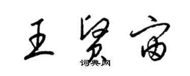 梁錦英王賢宙草書個性簽名怎么寫