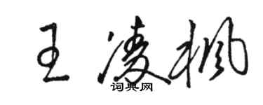 駱恆光王凌楓草書個性簽名怎么寫