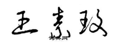 曾慶福王素玫草書個性簽名怎么寫