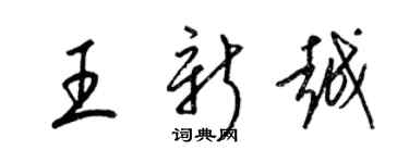 梁錦英王新越草書個性簽名怎么寫