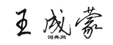 駱恆光王成蒙行書個性簽名怎么寫