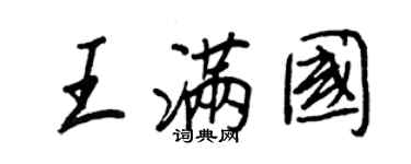王正良王滿國行書個性簽名怎么寫