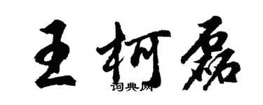 胡問遂王柯磊行書個性簽名怎么寫