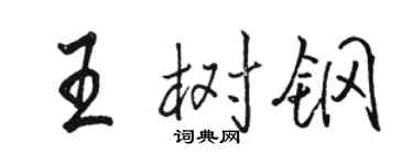 駱恆光王樹鋼行書個性簽名怎么寫