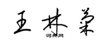 梁錦英王林菊草書個性簽名怎么寫