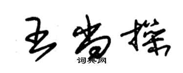 朱錫榮王尚操草書個性簽名怎么寫