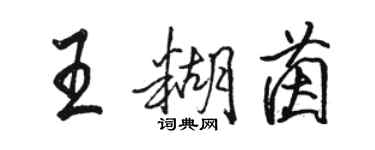 駱恆光王糊茵行書個性簽名怎么寫