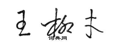 駱恆光王柳才草書個性簽名怎么寫