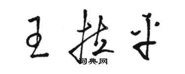 駱恆光王拉平草書個性簽名怎么寫