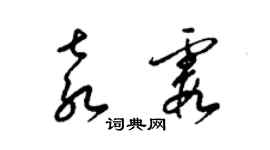 梁錦英袁霞草書個性簽名怎么寫