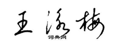 梁錦英王泳梅草書個性簽名怎么寫