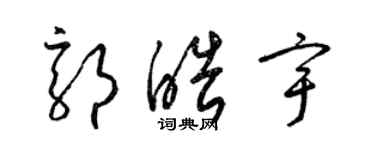 梁錦英郭皓宇草書個性簽名怎么寫