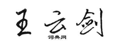 駱恆光王雲劍行書個性簽名怎么寫