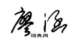 朱錫榮廖涵草書個性簽名怎么寫