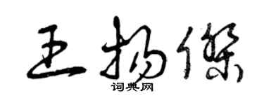 曾慶福王揚傑草書個性簽名怎么寫